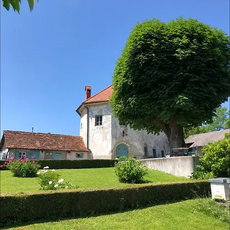 Medieval Castle In Center - Trutzturn ヴィラ